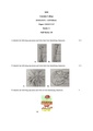 GC-2020 B.Sc. (General) Zoology Semester-II Paper-CC-2 Practical-2nd Batch QP.pdf