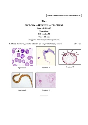 CU-2021 B.Sc. (Honours) Zoology Semester-5 Paper-DSE-A-1P QP.pdf