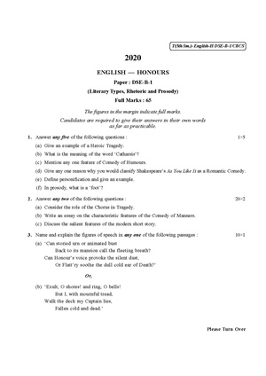 CU-2020 B.A. (Honours) English Semester-V Paper-DSE-B-1 QP.pdf