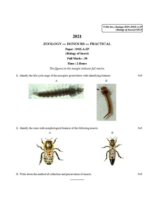 CU-2021 B.Sc. (Honours) Zoology Semester-5 Paper-DSE-A-2P QP.pdf