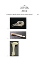 GC-2020 B.Sc. (Honours) Zoology Semester-IV Paper-CC-8 Practical QP.pdf