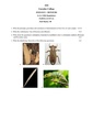 GC-2020 B.Sc. (Honours) Zoology Part-II Paper-4 Unit-II (1+1+1 2016 Regulations) Practical QP.pdf
